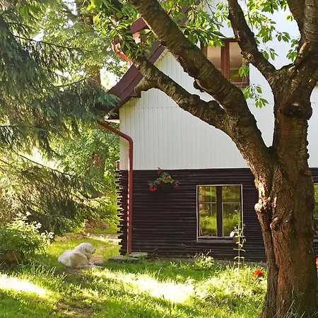 ホームステイ Markowy Dom