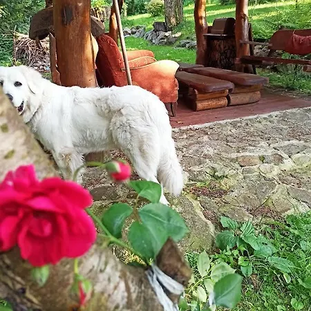 Markowy Dom ホームステイ ユゴビツェ