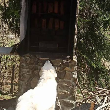 Markowy Dom * ユゴビツェ