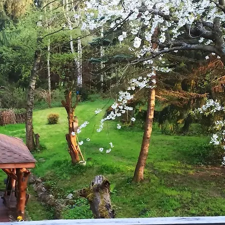 ホームステイ Markowy Dom