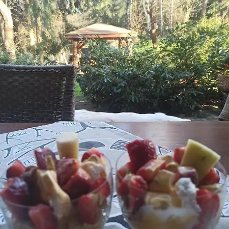 Pansiyon Markowy Dom *