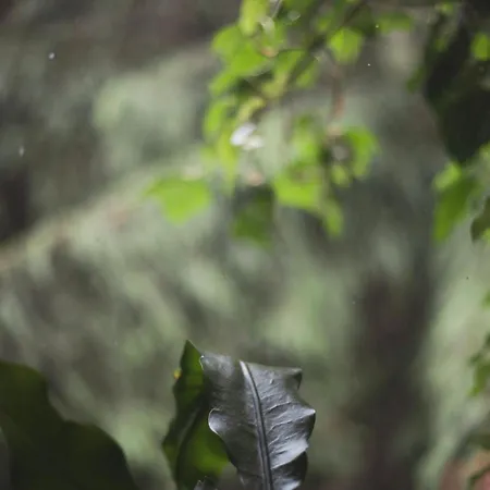 ホームステイ Markowy Dom