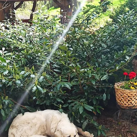 Markowy Dom Jugowice