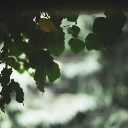 Pansiyon Markowy Dom Jugowice