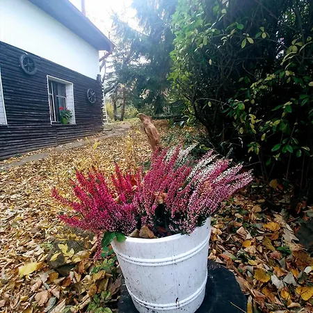 Markowy Dom ユゴビツェ