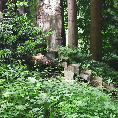 Markowy Dom Pansiyon