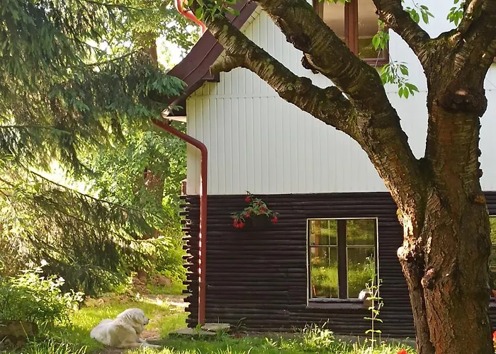 Ubytování v soukromí Markowy Dom