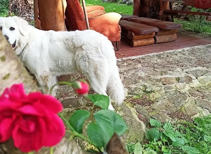 Markowy Dom Ubytování v soukromí Jugowice