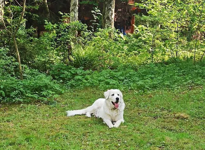 Markowy Dom Ubytování v soukromí
