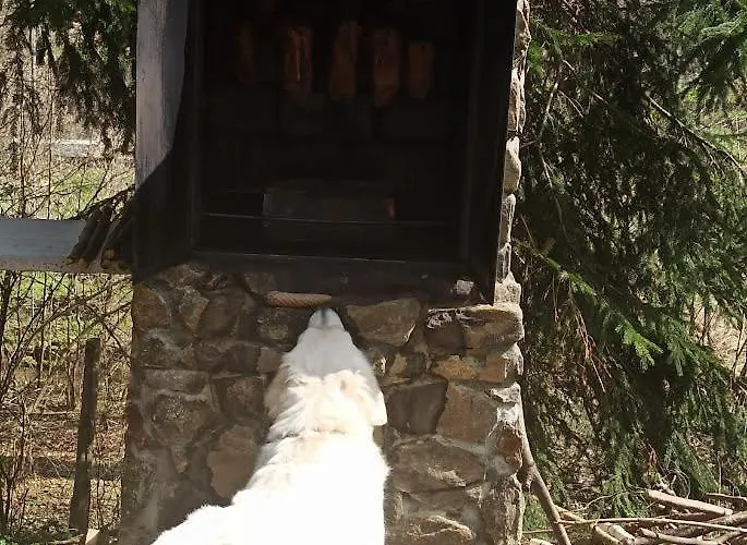 Markowy Dom * Jugowice