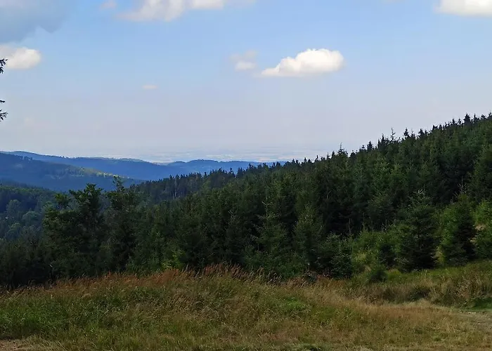 Markowy Dom Jugowice