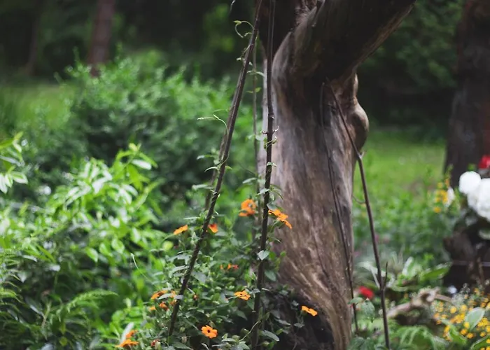 Markowy Dom Ubytování v soukromí