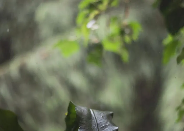 Privat bolig Markowy Dom