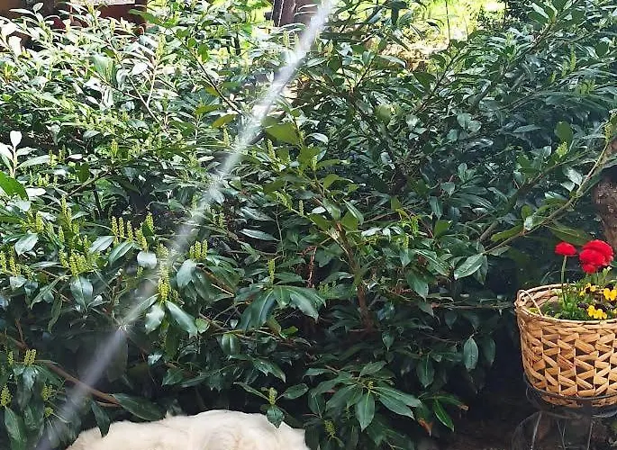 Markowy Dom Jugowice