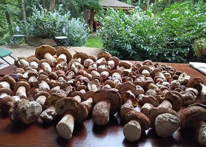 Markowy Dom Ubytování v soukromí *