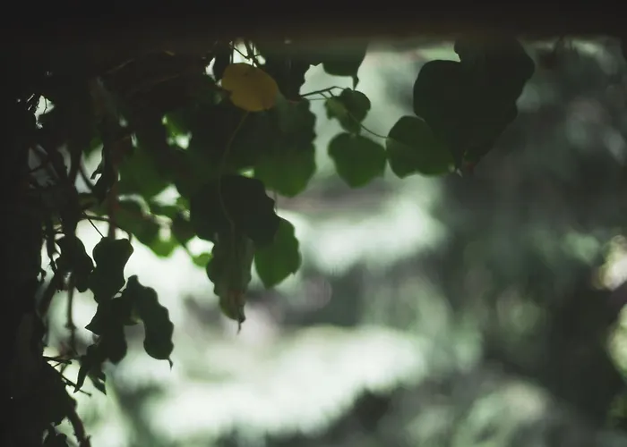 Ubytování v soukromí Markowy Dom Jugowice