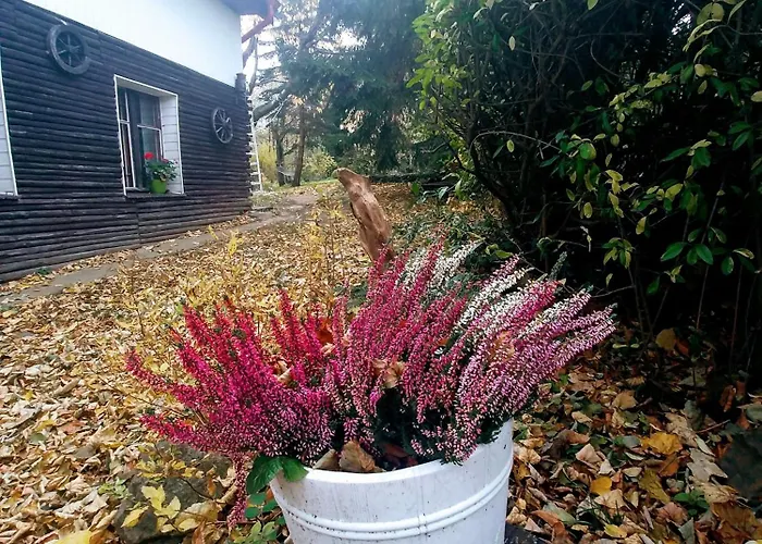 Markowy Dom Jugowice